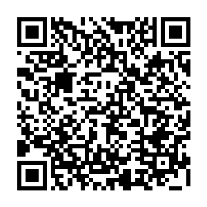 他就要让教他现代金融知识的王萌或者是学习财会专业的白爱晓顶替韦难二维码生成