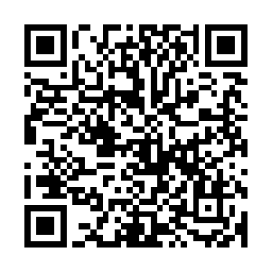 他居然只用了两根手指就将隐蝠手中的匕首给硬生生的掰断了二维码生成