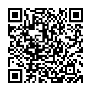 他居然当着王族这么多人的面活生生将一个满血的uzi给咬死了二维码生成