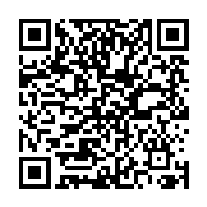 他已然可以和动用法则之力的五星战宗境界的超级强者一战二维码生成