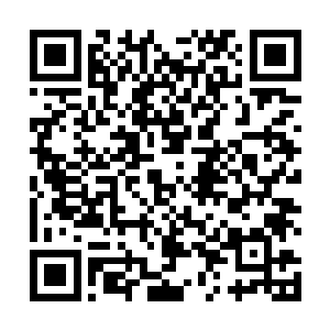 他已经不似第一次自主进入到这种状态时会无情的杀戮二维码生成