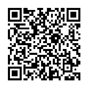 他已经估摸出对方的真实实力只不过比一般的仙王强者强一点二维码生成