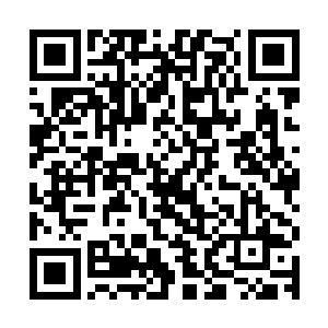 他已经可以试着用一些便宜的材料来炼制一些低级的三品丹药了二维码生成