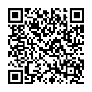 他已经多长时间没有再看到如此让人激动万分的比试了二维码生成