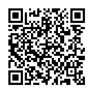 他已经对人体穴位以及扎针的力度和力量的拿捏熟练无比了二维码生成