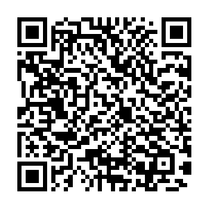 他已经将生死法则五行法则时间与空间融合法则杀戮法则冰之法则等等二维码生成