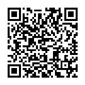 他已经忘了自己曾经是否有这样不顾一切去付出去争取的过二维码生成