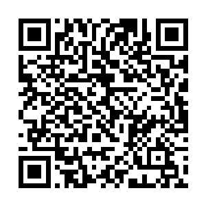 他已经忘记上一次看到如此脆弱的雨果是什么时候了二维码生成