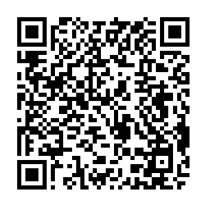 他已经感觉到了自己的身体已经发臭了……这么多天在模拟的副本里厮杀二维码生成