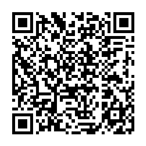 他已经明白囫囵真正意图就是他们在这个剧情世界里对人类数个纪元的研究成果二维码生成