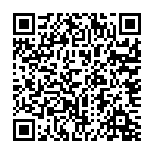 他已经比较平实的用客观光观察过这两个左右夹击华国南海的国家二维码生成
