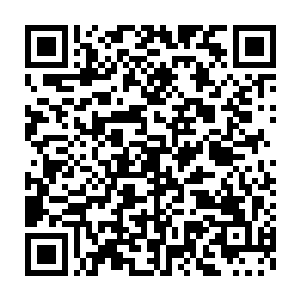 他已经看出眼前这名实力达到天神初期的老者今日怕是不会放过他们二维码生成
