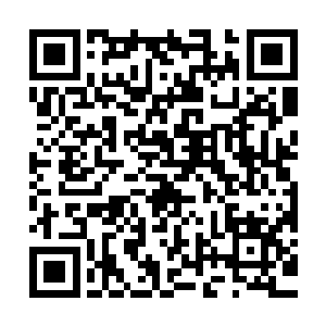 他已经看到了袭击者是什么东西――残缺不全的人类躯体与头部二维码生成
