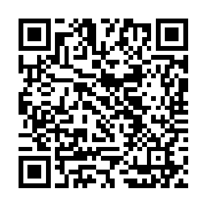 他已经经历过一次这种介乎于真实与虚幻之间的幻觉二维码生成