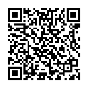 他已经能够感觉到星域宗上下绝大多数修士已经对他不服二维码生成