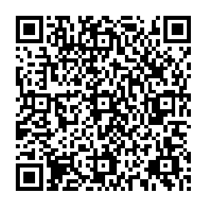 他带出来的元婴期的修士基本了解他的计划――从丹宗内得到的关于上古仙人的信息越多二维码生成