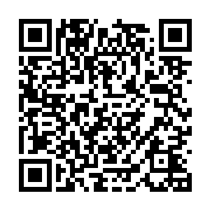 他带着无比的愉悦又写了一份属于他自己的认购单二维码生成