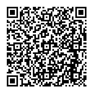 他年前听齐镇东在说他的母校成都电讯工程学院也就是电子科大也在积极谋求和一些地方共建二维码生成