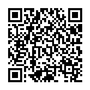 他庆幸之前没有一时冲动而跟林铭去争那个作用不大的骨简二维码生成