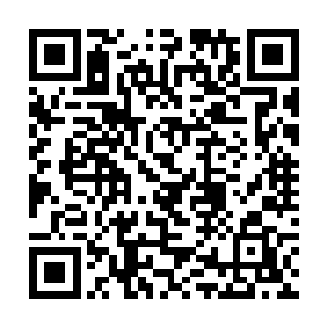 他应该分析这两头妖兽的实力和他们队伍实力的差距二维码生成