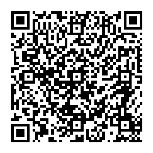 他庞大的意志降临气海 看着端坐在莲叶上的九头犼尊 心中一动 也在这一刹那勾动了心弦二维码生成