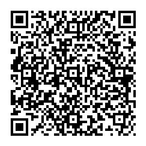 他张狂霸道　就算进入了劫云之内　就算浑身都被罡风不停的撕扯　就算他的身体依旧破碎不堪　他依旧不曾放弃二维码生成