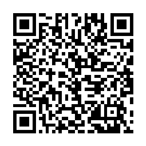 他当初怎么就误信了武痴侯振栋的话没有对他痛下杀手呢二维码生成