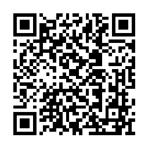 他当即便准备再次将血海噬魂阵释放出抵挡片刻二维码生成