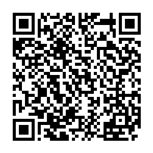 他当日因为恼怒于段御史走漏消息而将他好不容易搜集到的证据丢失了二维码生成