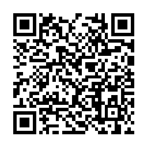 他当然不会傻到在其中添加类似功夫式的动作元素二维码生成