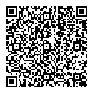 他得到了一块天上掉下来的石头――就好像所有小说的主角里都会有的金手指那样――那块石头的名字叫做命运石板二维码生成