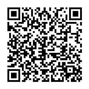 他心中对未能完全为父母报仇产生的恨已经全部算到八大家族身上去了二维码生成