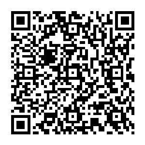 他心头呢喃 直到现在 他依旧不曾真正的明白 伴随着肌体传來的疼痛 他忽然全身一颤二维码生成