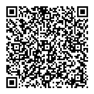 他心思一动 能够让他都产生疼痛之感的东西 绝对不是什么凡物 想把 大手一张 虚空一抓 顿时将其拿了出來二维码生成