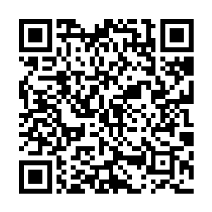 他心里犹自不敢想信殷萝竟然会为了表郎君用出这样的手段二维码生成