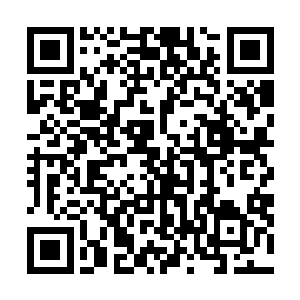 他忍不住望了一眼旁边浑身上下都激动得微微发抖的林德二维码生成