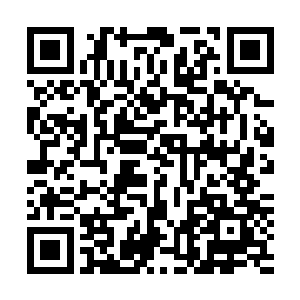他忘记了他释放的心脏虚像和八角罗盘融合也同样消耗巨大二维码生成