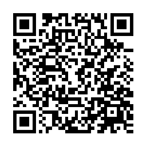 他忽然感到缠绕在他身上的触角发出的巨大拉扯之力忽然消失了二维码生成