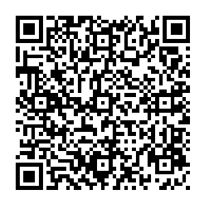 他忽然看到从闫立新的对话框中飞出了一条错误的指令飞向了大屏中央的矩阵方程上二维码生成