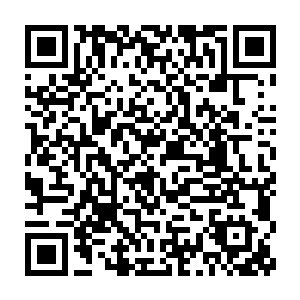 他怎么也没有想到自己居然已经被那些隐世家族的子弟们给关注到了二维码生成