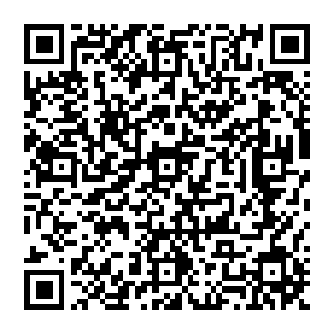 他怒吼一声　双手向着四周一扯　顿时灵气海洋化作两条长龙　咆哮一声对着他身体灌注而去二维码生成