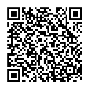 他总算明白为什么楚城的高端力量从战斗开始到现在都没有出现了二维码生成