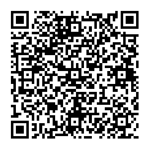 他想不通这个人怎么就能在短短的时间里就从一个手无缚鸡之力的读书人变成了这个世界上有数的恶人二维码生成