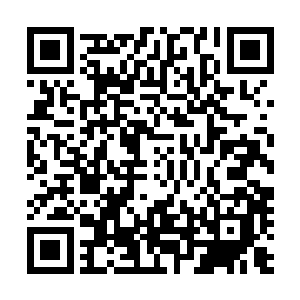 他想凭他十几年的办案经验在莫小鱼的表情里探得一点信息二维码生成