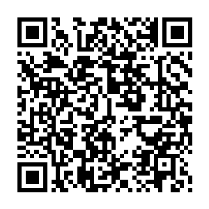 他想到悬崖下面探一探究竟是什么原因让拟形虫的晶核钻进金倩雪的肚子里二维码生成