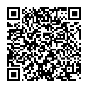 他想起了流墨墨手里那片一直是血妖姬们的飞行座驾的世界树树心二维码生成