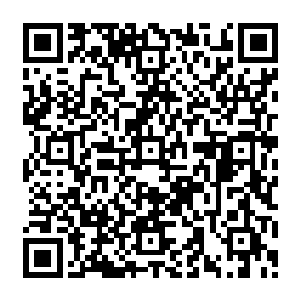 他感觉哪怕是自己击杀上百半帝境界的存在恐怕也绝对无法得到如此恐怖的澎湃的能量二维码生成