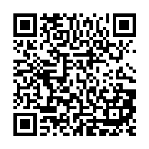 他感觉自己的每一条血管和每一束神经都暴露在对方的扫描之下二维码生成