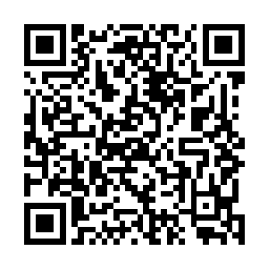 他感谢的不但是杨开归还了海外诸宗丢失这么多年的宝贝二维码生成