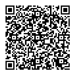 他所杀之人 皆是与他有过节 而且都是先去杀他的人 正是如此 风清扬才会特别恨这种滥杀之人二维码生成